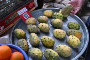 福建省・の写真 客家(はっか)の故郷3-11