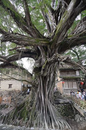 福建省・の写真 客家(はっか)の故郷3-8