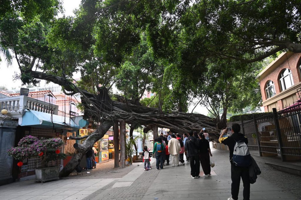 福建省・厦門(アモイ)と鼓浪嶼(クランユ)の写真 近代史路地裏散歩6-5