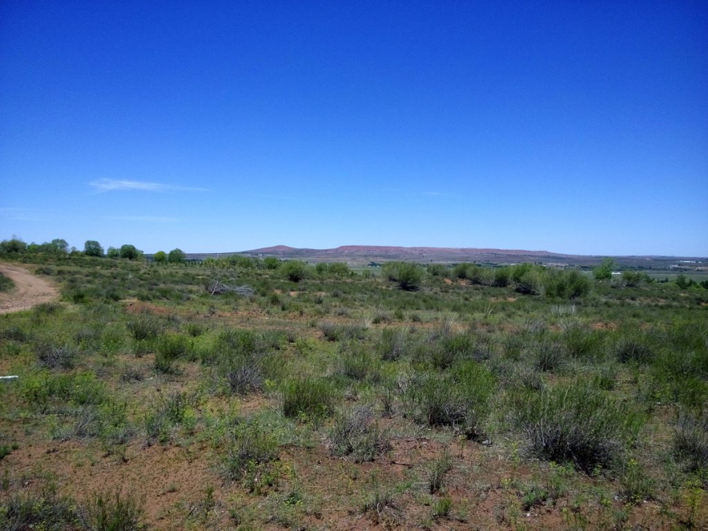 新疆ウィグル自治区・蘭州から烏魯木斉へ 烏魯木斉 ジュンガル盆地 砂漠の道 カナスへの玄関、布爾津 阿勒泰の深緑の谷の写真　烏魯木斉（ウルムチ）からカナスへ3-4