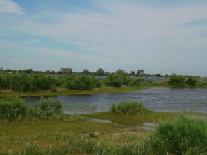 新疆ウィグル自治区・蘭州から烏魯木斉へ 烏魯木斉 ジュンガル盆地 砂漠の道 カナスへの玄関、布爾津 阿勒泰の深緑の谷の写真　烏魯木斉（ウルムチ）からカナスへ4-10