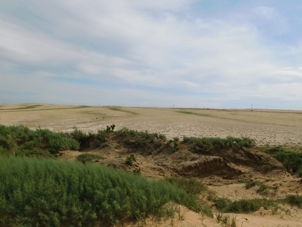 新疆ウィグル自治区・蘭州から烏魯木斉へ 烏魯木斉 ジュンガル盆地 砂漠の道 カナスへの玄関、布爾津 阿勒泰の深緑の谷の写真　烏魯木斉（ウルムチ）からカナスへ4-4