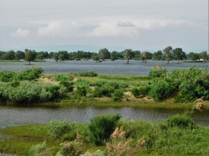 新疆ウィグル自治区・蘭州から烏魯木斉へ 烏魯木斉 ジュンガル盆地 砂漠の道 カナスへの玄関、布爾津 阿勒泰の深緑の谷の写真　烏魯木斉（ウルムチ）からカナスへ4-8