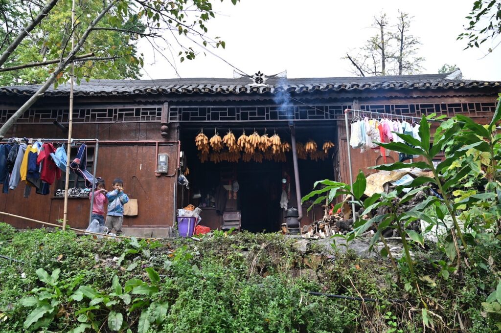 貴州省・の写真　カルスト峰の林と古銀杏の村、大瀑布2-1