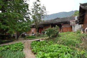 貴州省・の写真　カルスト峰の林と古銀杏の村、大瀑布2-10