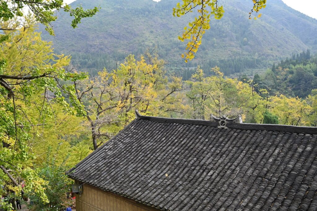 貴州省・の写真　カルスト峰の林と古銀杏の村、大瀑布2-4