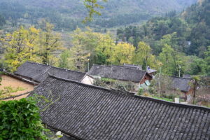 貴州省・の写真　カルスト峰の林と古銀杏の村、大瀑布2-7