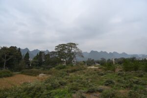 貴州省・の写真　カルスト峰の林と古銀杏の村、大瀑布5-8