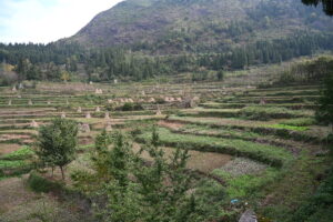 貴州省・の写真　カルスト峰の林と古銀杏の村、大瀑布6-11