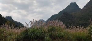 貴州省・の写真　世界自然遺産の古橋と癒しの峡谷3-6