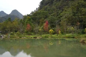 貴州省・の写真　世界自然遺産の古橋と癒しの峡谷4-9