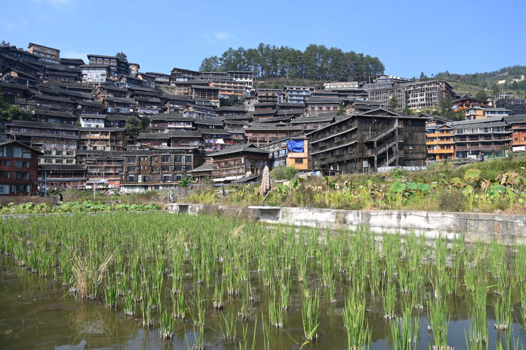 貴州省・の写真　世界自然遺産の古橋と癒しの峡谷5-5