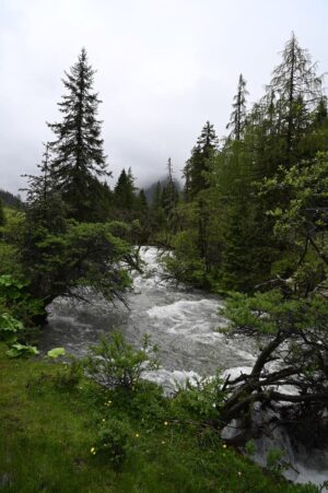 四川省・の写真　四姑娘山（スクニャン山）の渓谷を歩き中路蔵寨を訪ねる4-11