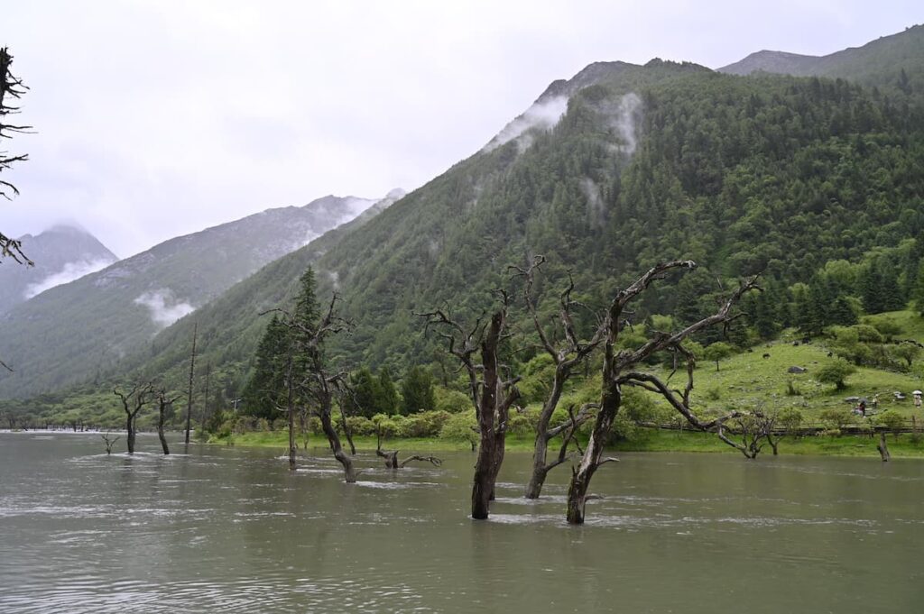 四川省・の写真　四姑娘山（スクニャン山）の渓谷を歩き中路蔵寨を訪ねる4-4