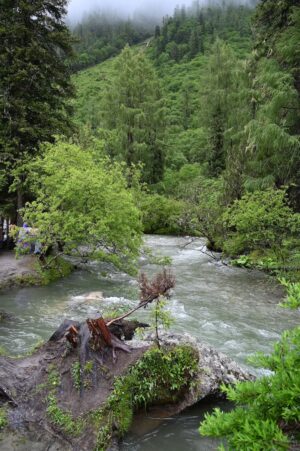 四川省・の写真　四姑娘山（スクニャン山）の渓谷を歩き中路蔵寨を訪ねる4-9