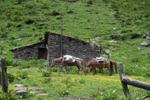四川省・の写真　四姑娘山（スクニャン山）の渓谷を歩き中路蔵寨を訪ねる6-10