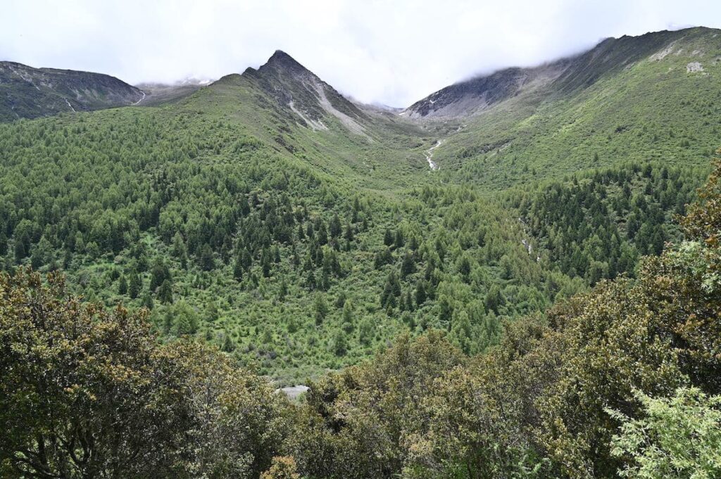 四川省・の写真　四姑娘山（スクニャン山）の渓谷を歩き中路蔵寨を訪ねる6-5