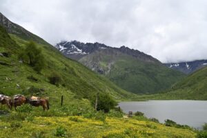 四川省・の写真　四姑娘山（スクニャン山）の渓谷を歩き中路蔵寨を訪ねる6-7