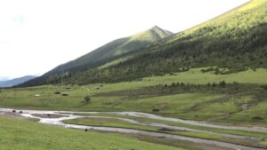 四川省・の写真　甲玉拉措と玉科草原からパンダとお茶の故郷へ3-6