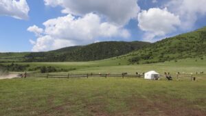 四川省・の写真　甲玉拉措と玉科草原からパンダとお茶の故郷へ3-7