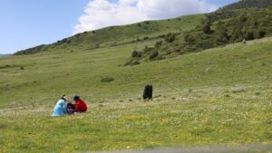 四川省・の写真　甲玉拉措と玉科草原からパンダとお茶の故郷へ3-9