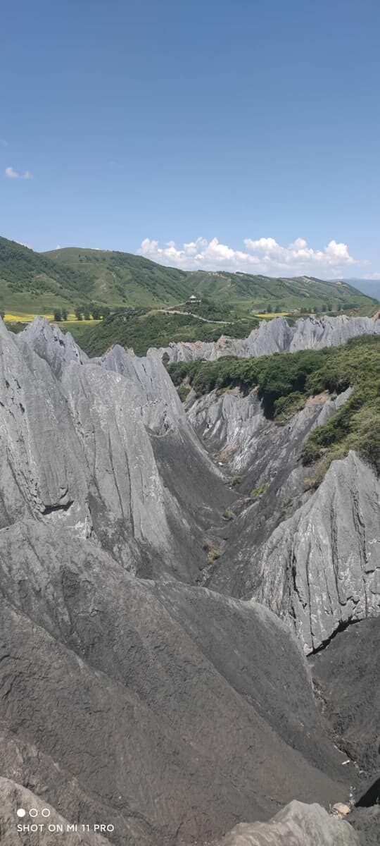 四川省・の写真　甲玉拉措と玉科草原からパンダとお茶の故郷へ4-3