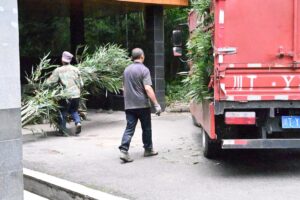 四川省・の写真　甲玉拉措と玉科草原からパンダとお茶の故郷へ5-10