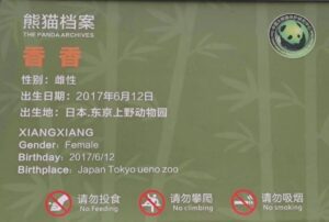 四川省・の写真　甲玉拉措と玉科草原からパンダとお茶の故郷へ5-11