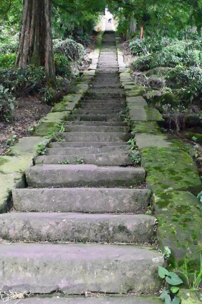 四川省・の写真　甲玉拉措と玉科草原からパンダとお茶の故郷へ6-3