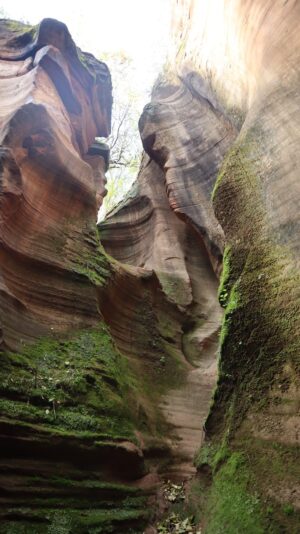 陝西省・の写真　岩と光の夢の回廊3-10