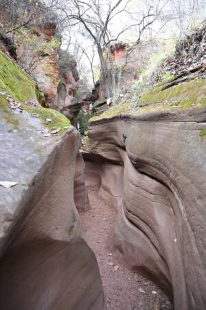 陝西省・の写真　岩と光の夢の回廊3-7