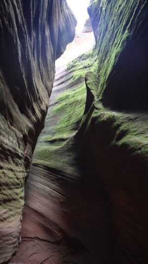 陝西省・の写真　岩と光の夢の回廊3-8