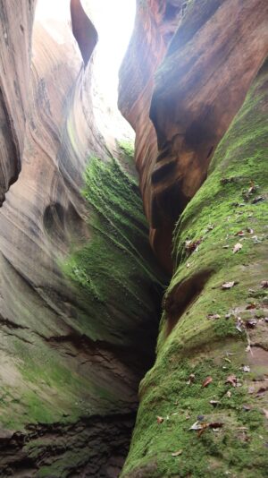 陝西省・の写真　岩と光の夢の回廊3-9