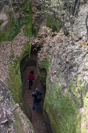 陝西省・の写真　岩と光の夢の回廊6-11