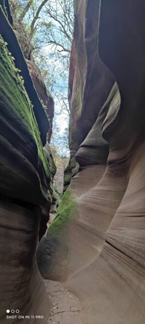 陝西省・の写真　岩と光の夢の回廊7-8