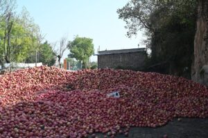 陝西省・の写真　岩と光の夢の回廊9-10