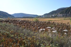 陝西省・の写真　岩と光の夢の回廊9-7