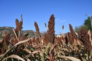 陝西省・の写真　岩と光の夢の回廊9-8