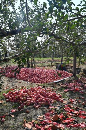 陝西省・の写真　岩と光の夢の回廊9-9