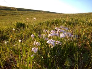 内蒙古自治区・輝謄錫勒草原／庫布齊砂漠の写真　月と太陽のドラマ-8