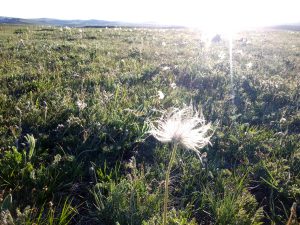 内蒙古自治区・輝謄錫勒草原／庫布齊砂漠の写真　月と太陽のドラマ-9