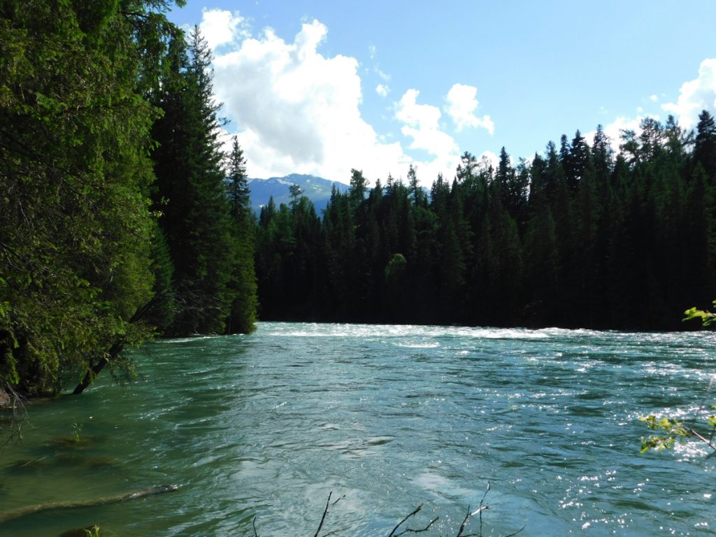 新疆ウィグル自治区・喀納斯（カナス）の写真　最後の浄土-4