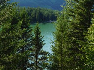 新疆ウィグル自治区・喀納斯（カナス）の写真　最後の浄土-8