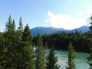 新疆ウィグル自治区・喀納斯（カナス）の写真　最後の浄土-9