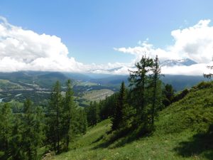 新疆ウィグル自治区・喀納斯（カナス）の写真　最後の浄土2-6