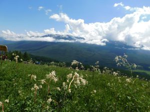 新疆ウィグル自治区・喀納斯（カナス）の写真　最後の浄土2-9