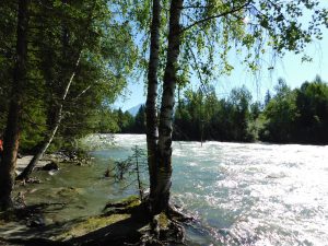 新疆ウィグル自治区・喀納斯（カナス）禾木村の写真　トゥバ族と哈薩克（カザフ）族の浄土2-8