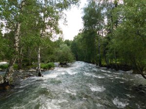 新疆ウィグル自治区・喀納斯（カナス）禾木村の写真　トゥバ族と哈薩克（カザフ）族の浄土2-9