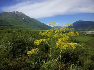新疆ウィグル自治区・喀納斯(カナス)禾木村の写真 トゥバ族と哈薩克(カザフ)族の浄土3-7