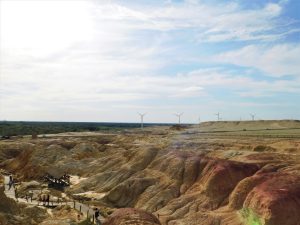 新疆ウィグル自治区・五彩灘の写真 砂漠と緑の競演-6